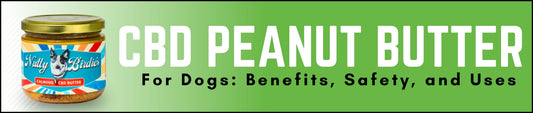CBD Peanut Butter for Dogs: Benefits, Safety, and Uses