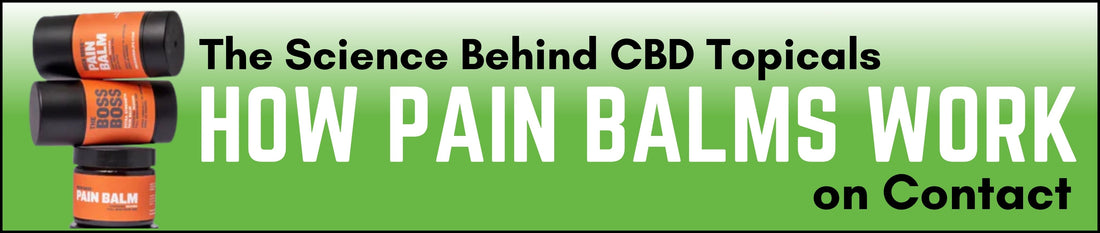 The Science Behind CBD Topicals: How Pain Balms Work on Contact